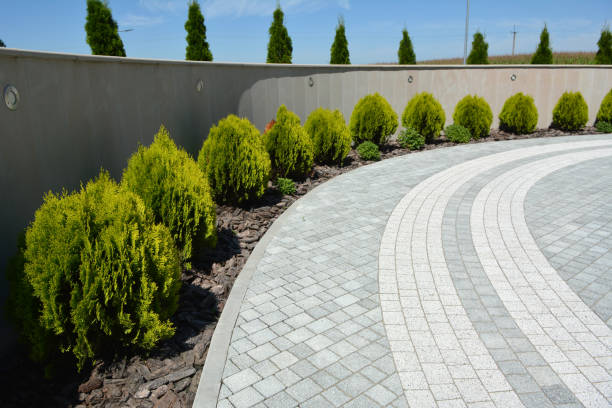 Best Decorative Driveway Pavers  in Coldspring, TX